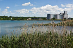 Summer Adventures in Owen Sound: Beaches, Festivals, Trails, Eats & More
