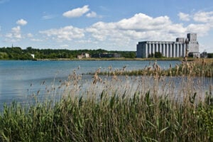 Summer Adventures in Owen Sound: Beaches, Festivals, Trails, Eats & More