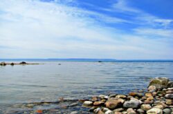 Summer in Tiny: A Relaxing Escape with Beaches, Hikes, and Family Fun Along Georgian Bay