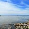 Summer in Tiny: A Relaxing Escape with Beaches, Hikes, and Family Fun Along Georgian Bay