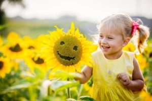 Sunflower Fields and Mazes in Ontario For a Day Trip