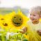 Sunflower Fields and Mazes in Ontario For a Day Trip