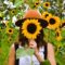 Sunflowwr farm