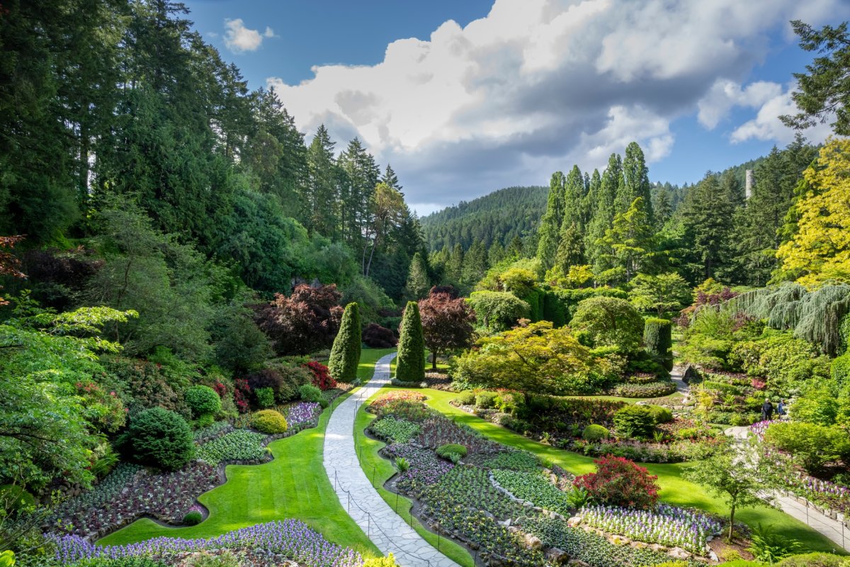 Night Illumination to Fireworks: Vancouver Island's Butchart Gardens ...