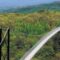 15 Suspension and Scenic Bridges to Explore in Ontario