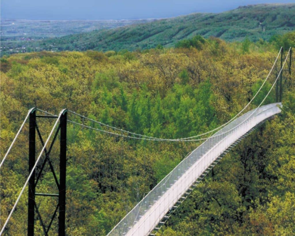 14 Suspension and Scenic Bridges to Explore in Ontario