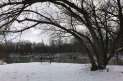 15 Things to Do During Winter in Chatham-Kent