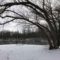 15 Things to Do During Winter in Chatham-Kent