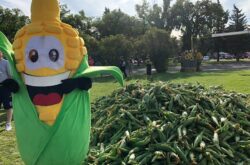 2025 Taber Cornfest Returns This Week With Drone Show, Fireworks and a Grand Parade
