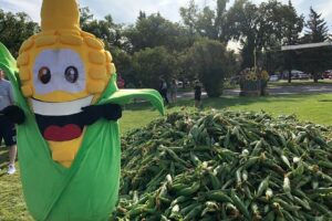 Parade, Fireworks & Drone Shows: What to See and Do at Taber Cornfest This Weekend
