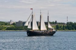 25 Things to Do Outdoors This Summer in Halifax & HRM