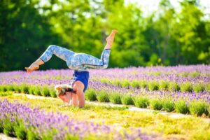 Lavender Farms for a Day Trip