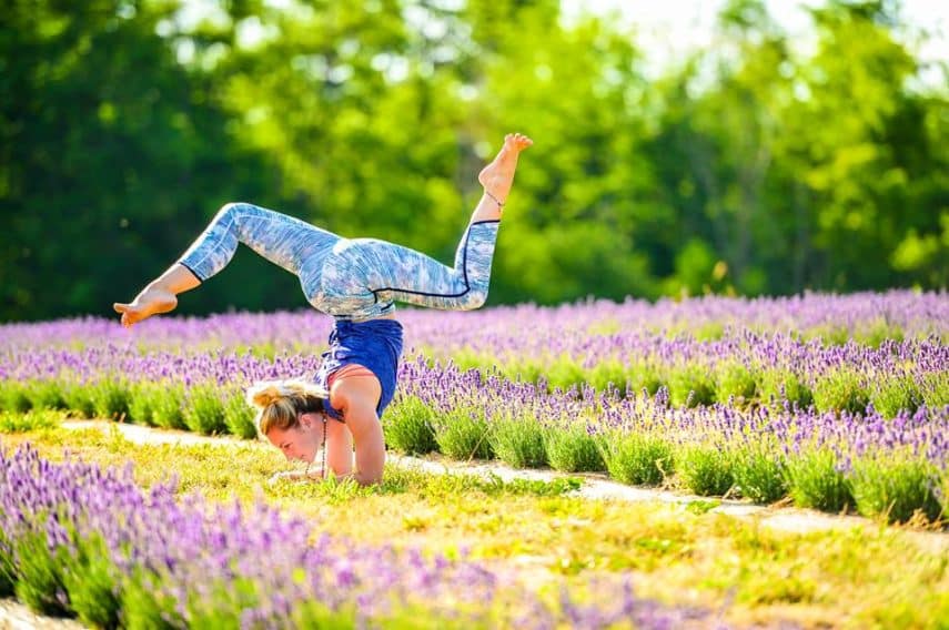 Lavender Farms In Ontario For A Day Trip To Do Canada