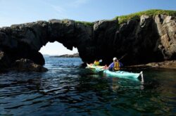 Top 10 Things to Do in Terra Nova National Park