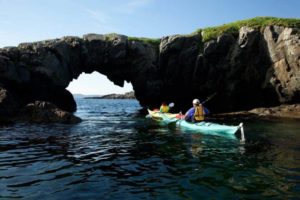 Top 10 Things to Do in Terra Nova National Park