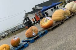 Pumpkins, Games & Good Times Await—Teulon Pumpkinfest Returns September 19th