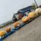 Pumpkins, Games & Good Times Await—Teulon Pumpkinfest Returns September 19th