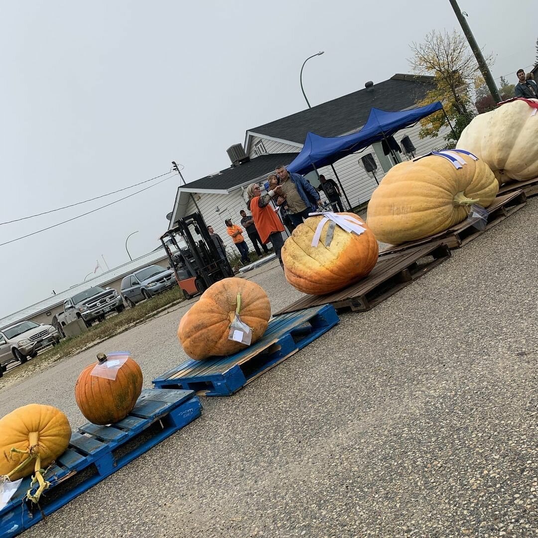 Festivities at Teulon Pumpkinfest’s Centenary Celebration 2024