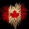 Canada Day Celebrations