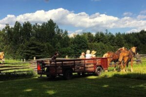 Thanksgiving Weekend in Guelph