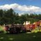 Things to Do This Thanksgiving Weekend in and Around Guelph