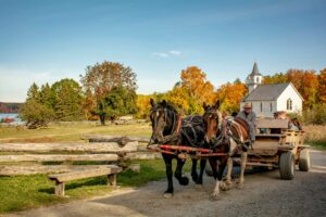 10 Things to Do this Thanksgiving Weekend in Fredericton