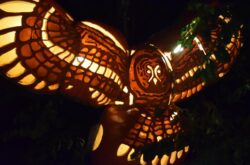 Things to Do This 2026 Thanksgiving Weekend in Sudbury