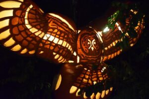 Things to Do this Thanksgiving Weekend in Sudbury