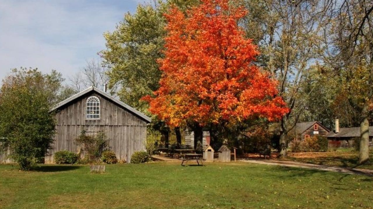Things To Do This Thanksgiving Weekend In London 2020 To Do Canada