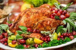 15 Things to Do This Thanksgiving Weekend in and Around Saint John - 2026