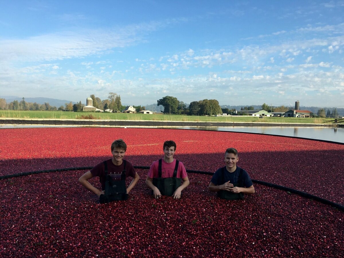 2024 Cranberry Plunge Dive into Fall at Riverside Cranberry Farm in