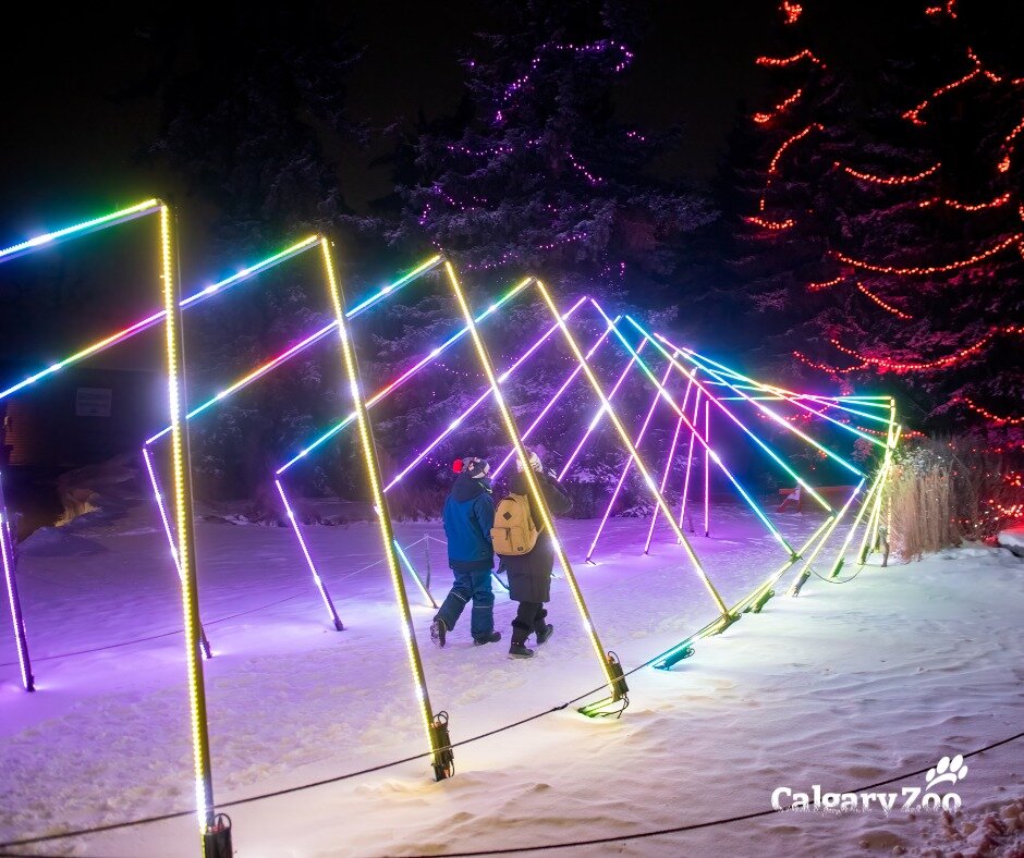 25 Festive Holiday Date Ideas in Calgary