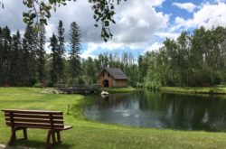 Viking Days Brings Battles, Feasts and Norse Traditions to Central Alberta This Weekend