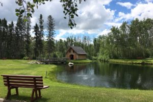 Viking Days Brings Battles, Feasts and Norse Traditions to Central Alberta This Weekend