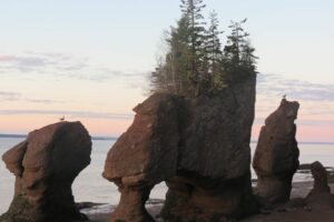 Low-Risk Outdoor Activities Resume in New Brunswick as Province Unveils COVID Recovery Plan