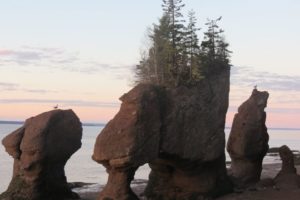 Low-Risk Outdoor Activities Resume in New Brunswick as Province Unveils COVID Recovery Plan