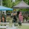 Free Outdoor Summer Concerts in London