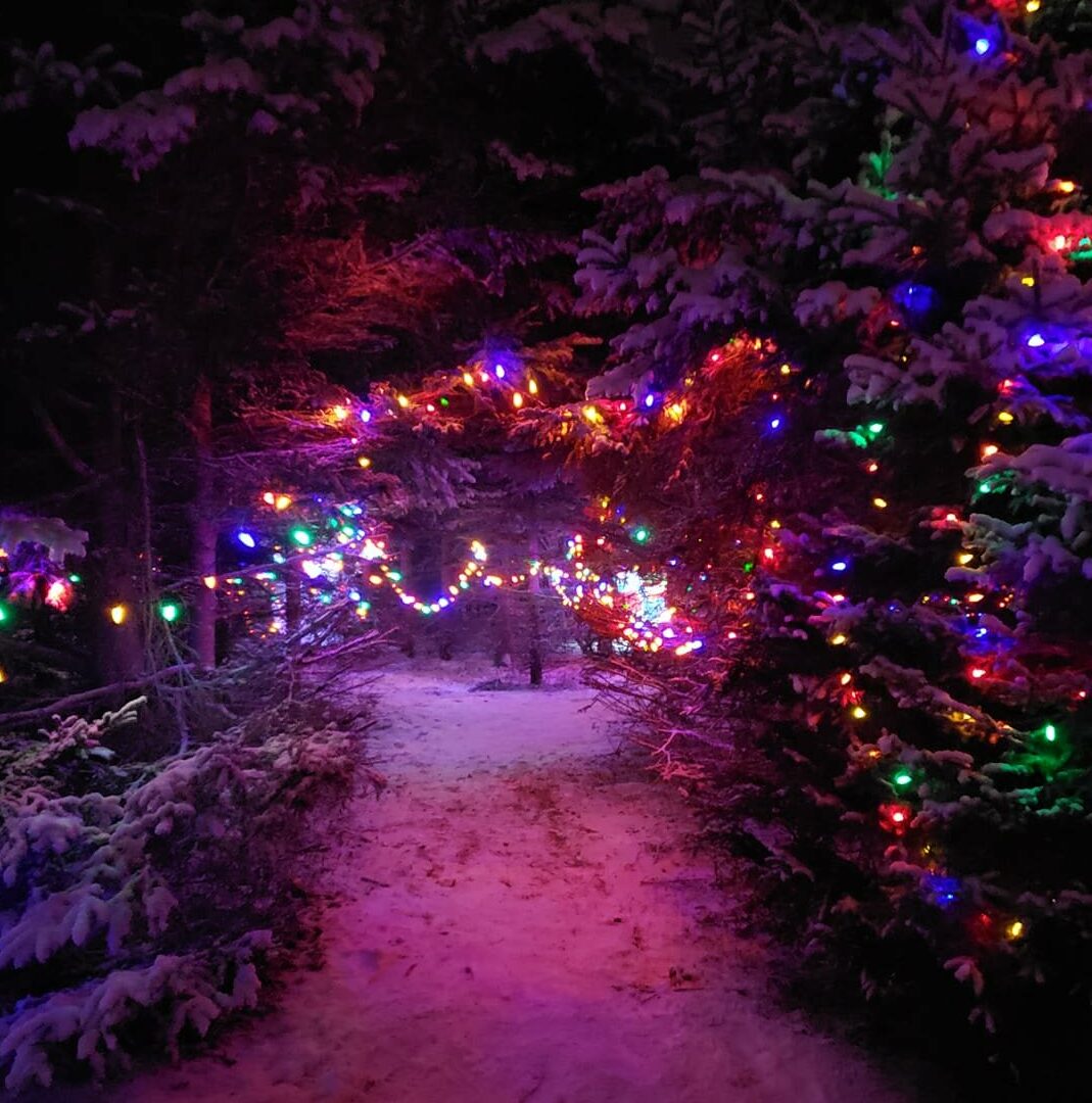 15 Magical Christmas Light Displays in Prince Edward Island To Do Canada