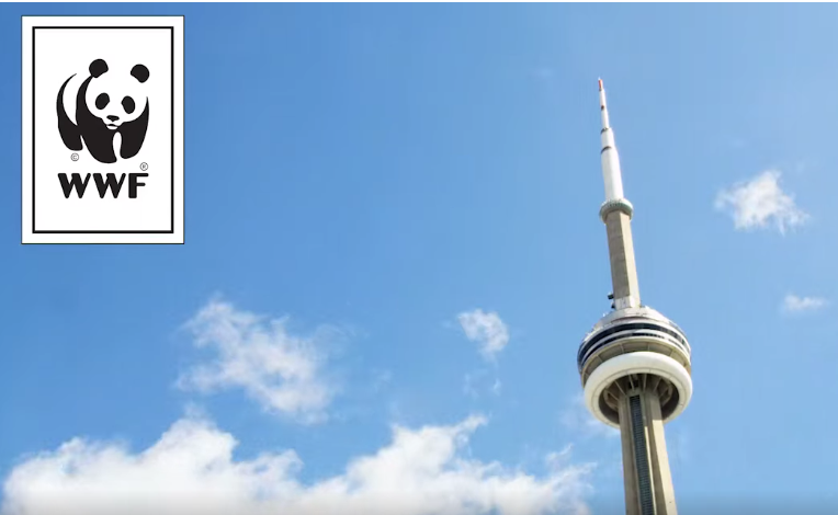 WWF CN Tower Climb For Nature