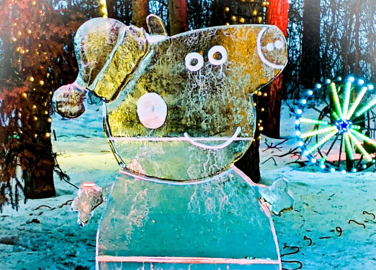 2021 Christmas Tree Light Up Festivals & Holiday Light Displays in