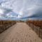 Summer Activities and Adventures in Grand Bend and Lambton Shores
