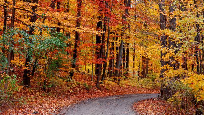 Things to Do Fall in Nova Scotia