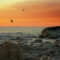 Things to Do This Summer in Port Elgin