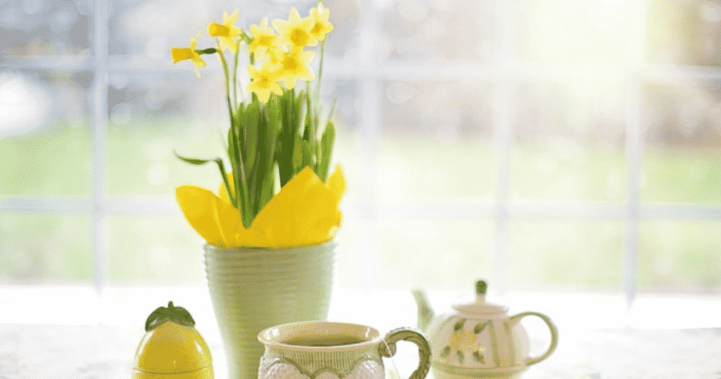 Things to Do During Easter Weekend in Moncton
