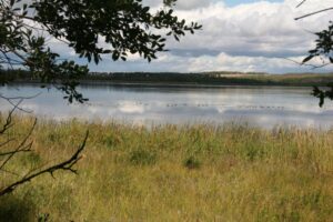 Things to Do in Grande Prairie