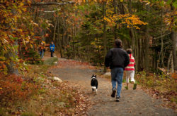 Things to Do in Halifax this Thanksgiving Weekend