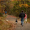 Things to Do in Halifax this Thanksgiving Weekend