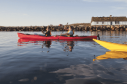 50 Things to Do This August in Nova Scotia