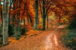 Things to Do This Fall in Saskatchewan - 2026