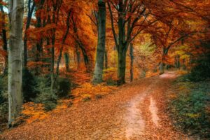 Things to Do This Fall in Saskatchewan